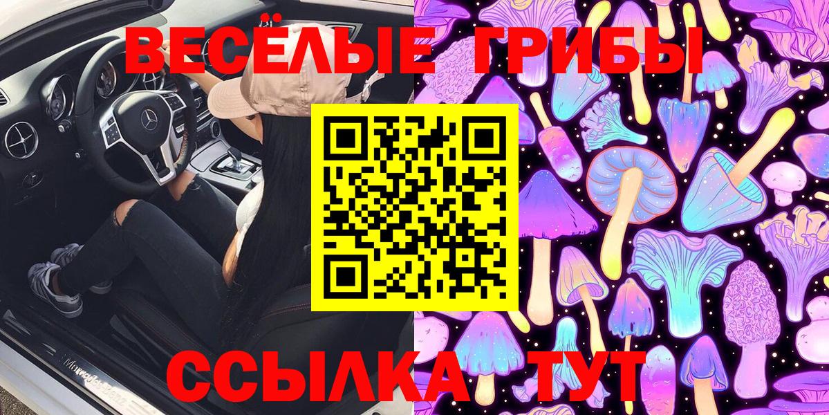 Псилоцибиновые грибы Cubensis  Псилоцибиновые грибы прущие грибы  продажа наркотиков  Вход с VPN  Саки 