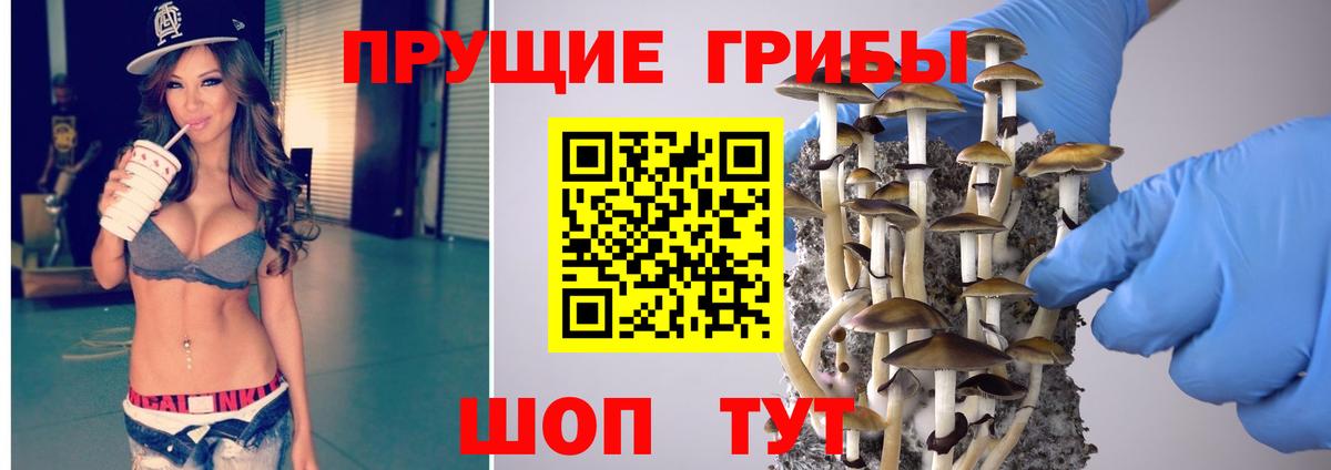 Псилоцибиновые грибы Psilocybe Саки