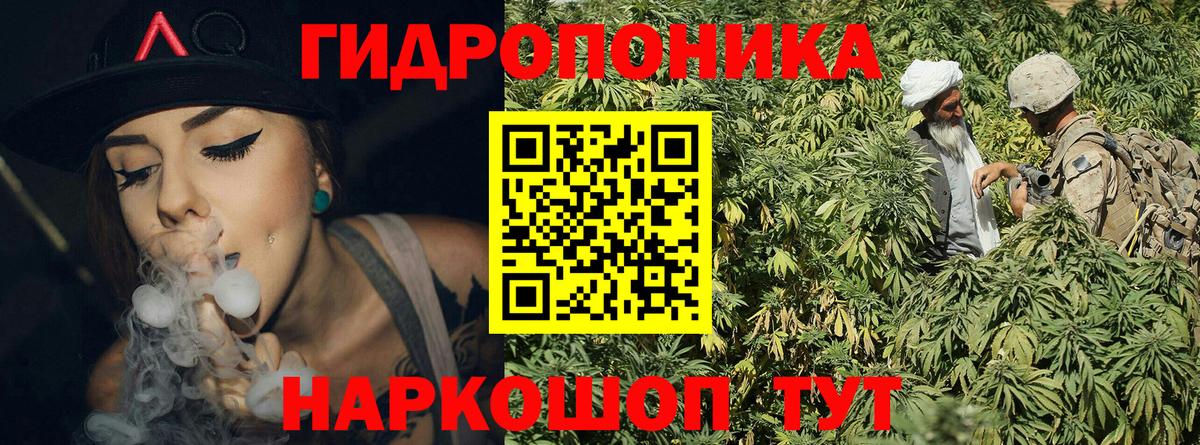 Шишки марихуана план Саки
